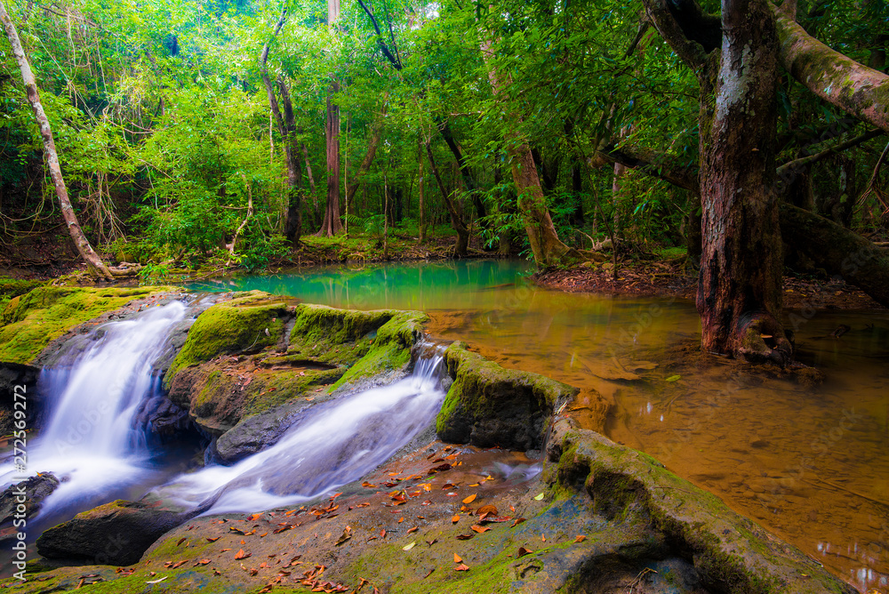Trees and rivers in the morning Trees and rivers in the morning