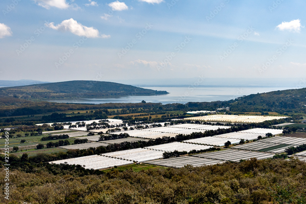 Rose cultivation under covered conditions near lake Naivasha in Kenya