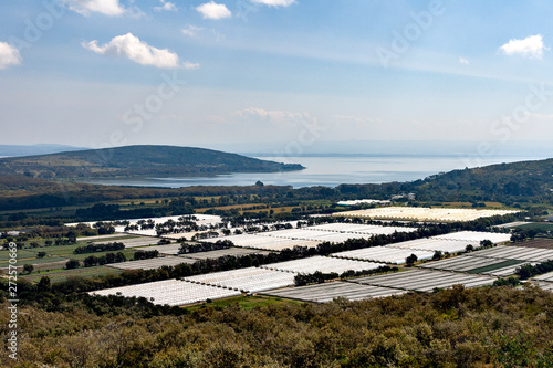 Obraz na płótnie Rose cultivation under covered conditions near lake Naivasha in Kenya w salonie