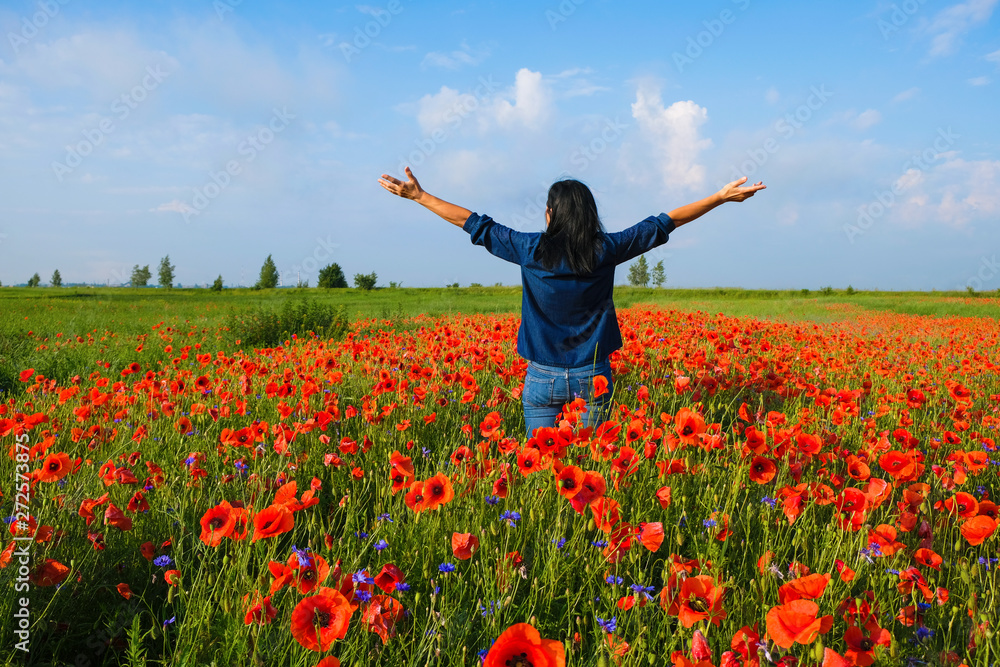 Happy lady 59 years old in blue clothes stands in the field of poppies turned back. The woman raised her hands in the sky. Summer Morning in Ukraine. Happy lady 59 years old in blue clothes stands in the field of poppies turned back. The woman raised her hands in the sky. Summer Morning in Ukraine.