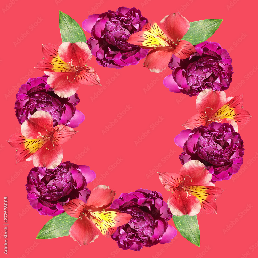 Obraz premium Beautiful floral circle of red alstroemeria and burgundy peonies. Isolated
