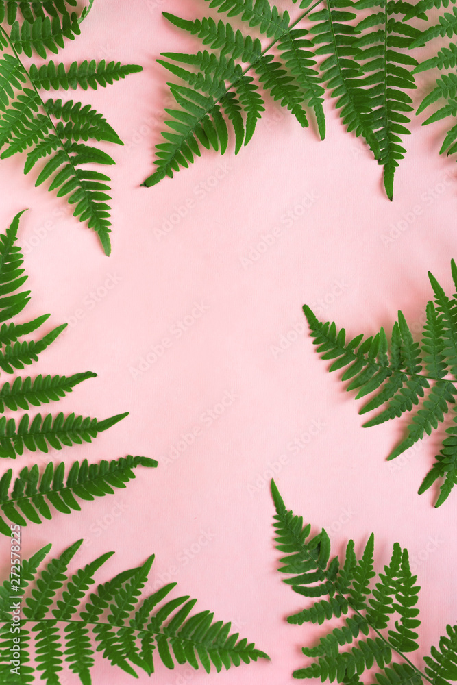 Fern Leaves Fern Leaves