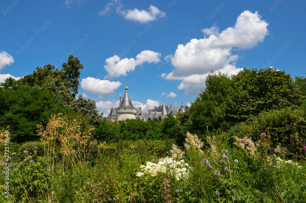Loire valley landscape - fairytale view of a castle, behind a forest, with some flowers in the foreground