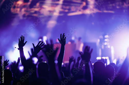 Cheering crowd with hands in air at music festival © NDABCREATIVITY