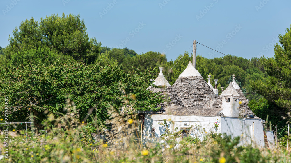 Trulli of the Itria valley. Details in the sky. Puglia, Italy.