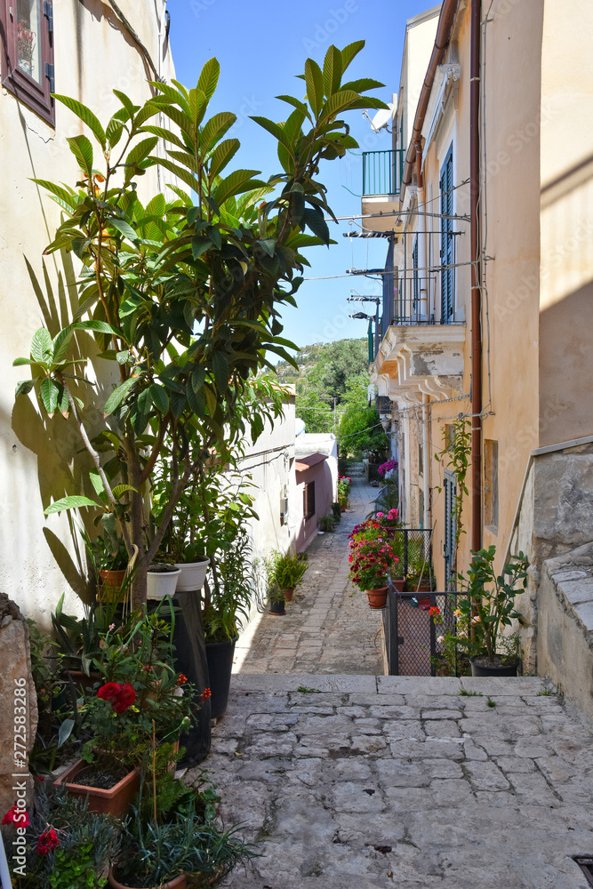 Plants and flowers in a street of the town of Modica in Sicily