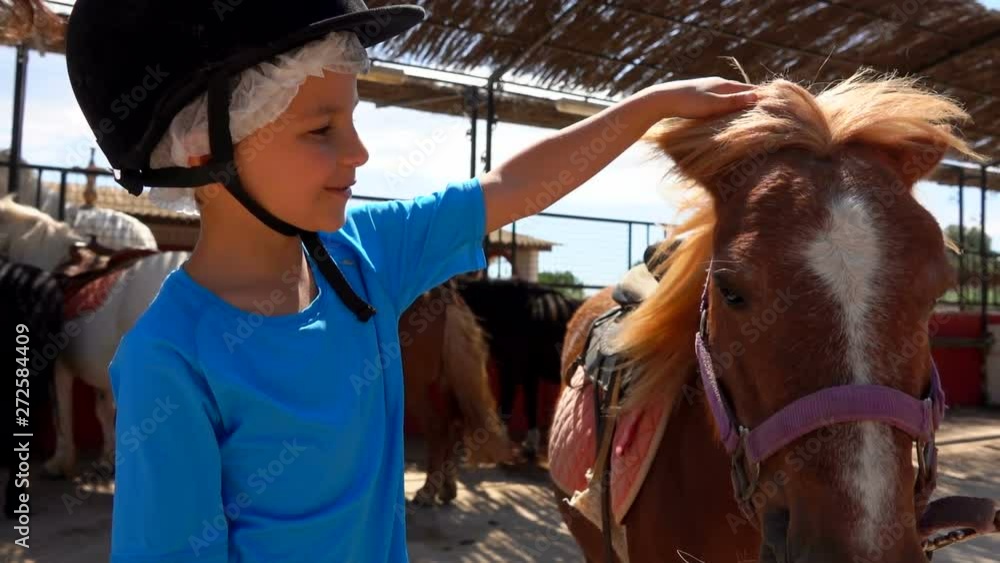 Little boy in a protective helmet strokes a pony's mane Little boy in a protective helmet strokes a pony's mane