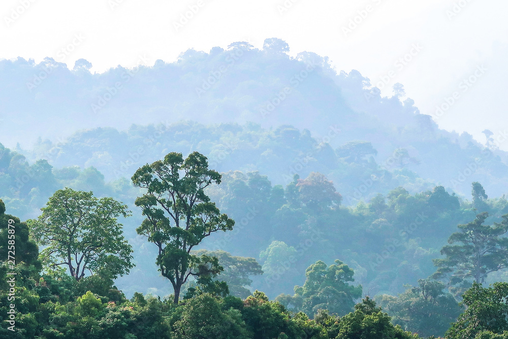 Obraz premium The natural landscape of mountains with misty