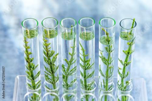 Принти на полотні SGMO Concept: samplings of genetically modified plants growing inside test tubes