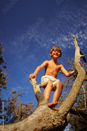 jeux et nature - enfant jouant dans un arbre