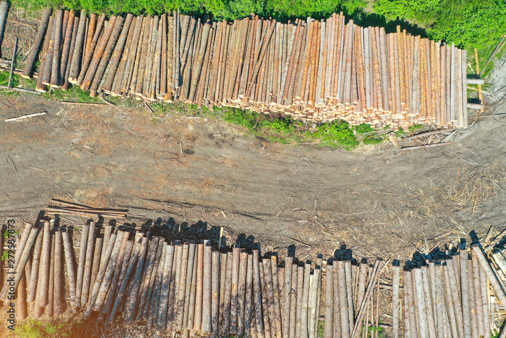 Fototapeta premium Logging, log cabin trunks of conifers, top aerial view.