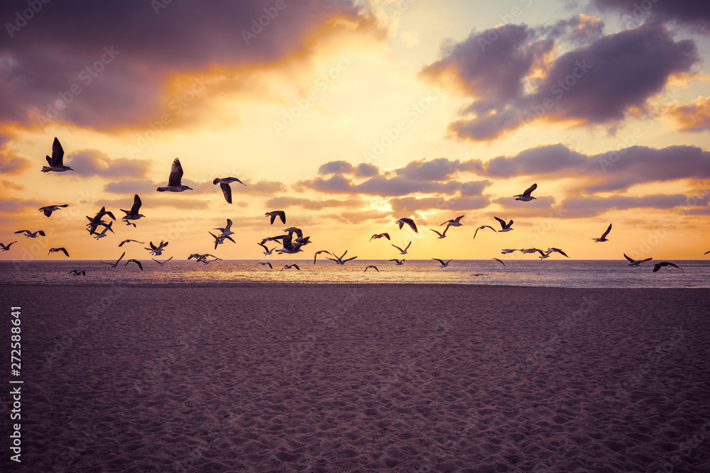 Fototapeta premium Sunset over the sea. Seagulls flying over the beach. Atlantic ocean in the evening. Porto, Portugal, Europe