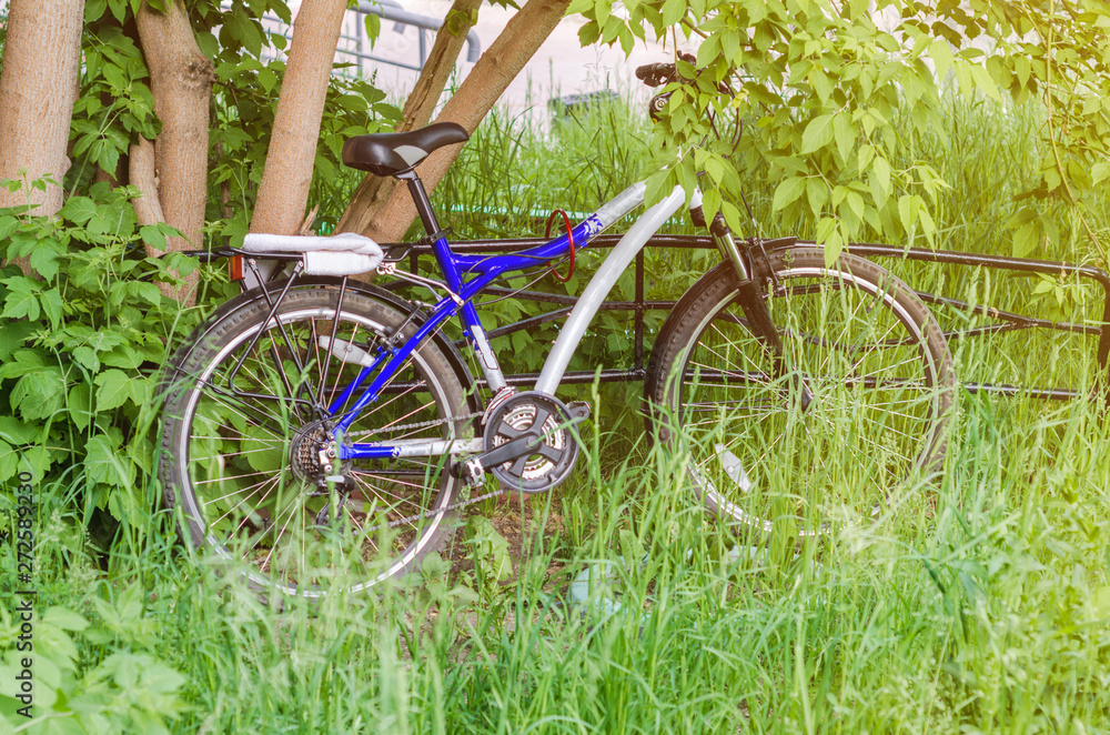 Bicycle stands near the tree on the grass
