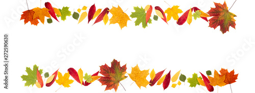 Autumn composition. Frame made of autumn leaves on white background. Autumn background. Long format with copy space