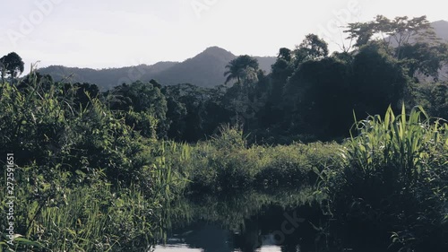 Cruising on a Creek in the Amazon rain forest for Wildlife and nature, Cusco, Peru, South America photo