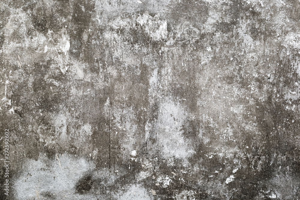 Wall background after plaster with cement-sand mortar Wall background after plaster with cement-sand mortar