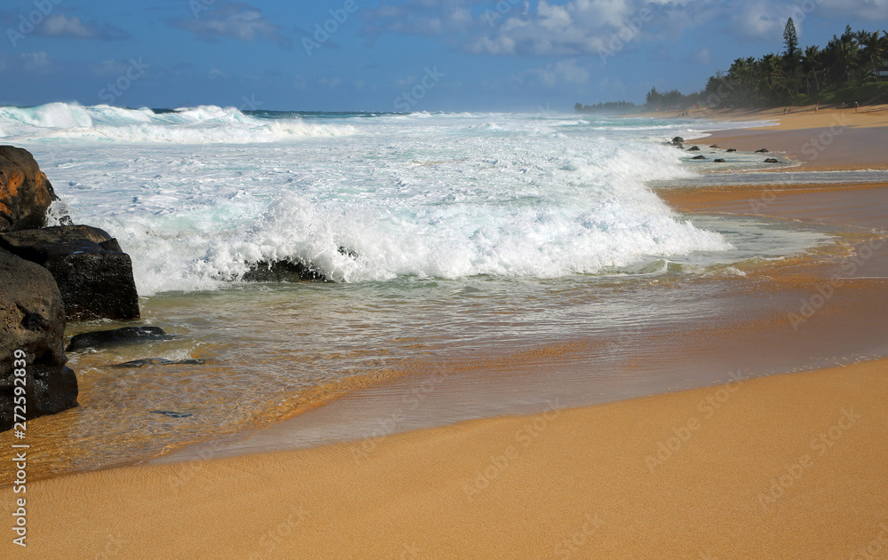 Fototapeta premium Lava stone on Sunset beach - Oahu, Hawaii