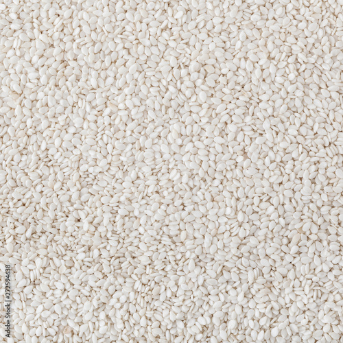 Dry sesame seeds background