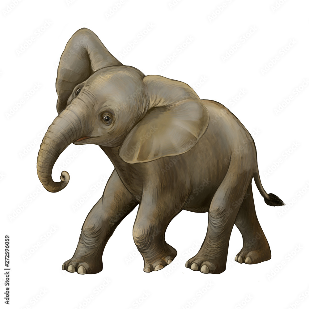 cartoon scene with little elephant on white background safari illustration for children cartoon scene with little elephant on white background safari illustration for children