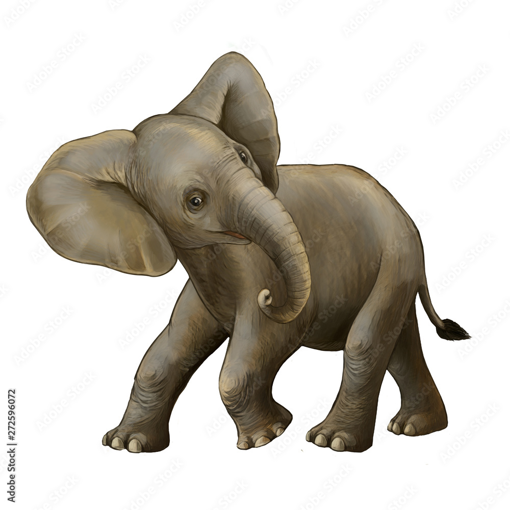 cartoon scene with little elephant on white background safari illustration for children