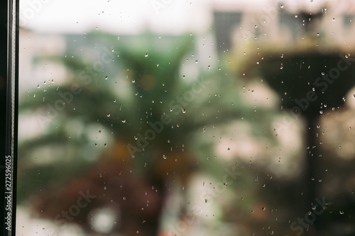 raindrops on window glass in the summer. palm trees in the background © producer
