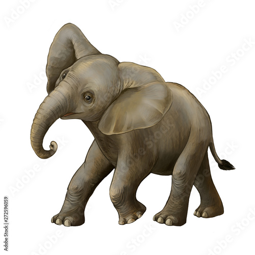 cartoon scene with little elephant on white background safari illustration for children © honeyflavour