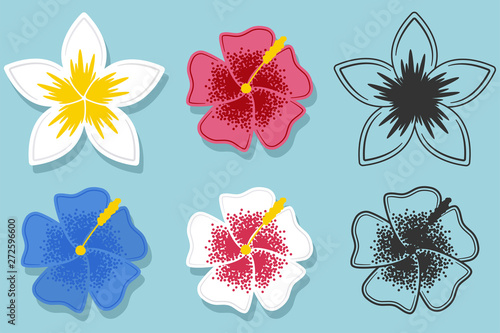 Hawaiian flower vector cartoon set isolated on a white background.
