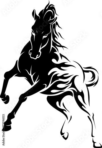 Horse Power Flaming Body, Front View