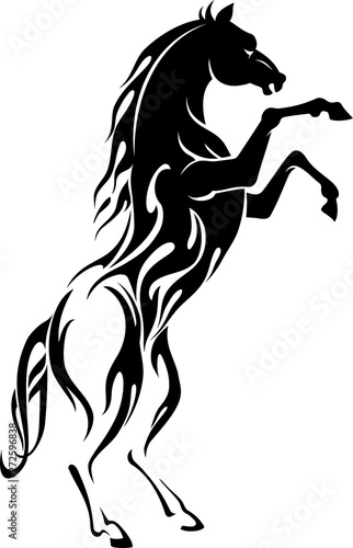 Horse Abstract Flamed Body, Front Kick