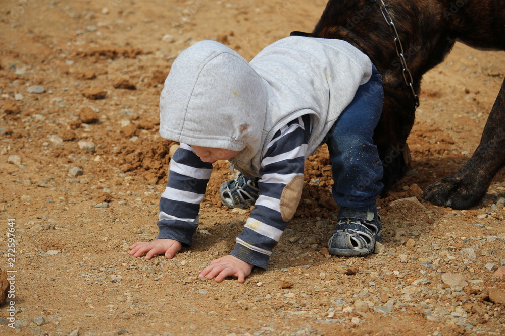 enfant jouant avec un chien dasn la terre enfant jouant avec un chien dasn la terre