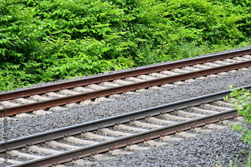 Railway lines in front of nature