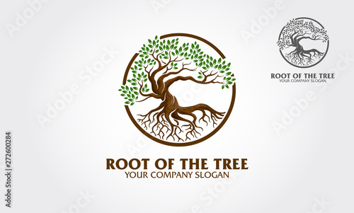 Foto Root of the Tree logo illustrating a tree roots, branches are connected in a circular layout