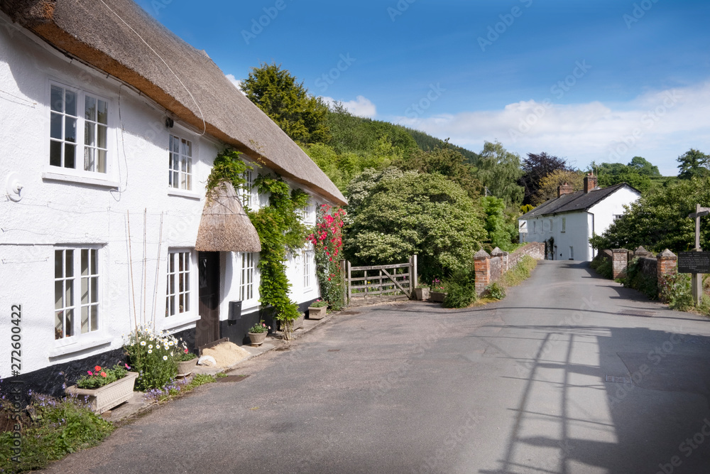 Devon village street, pretty thatched cottage