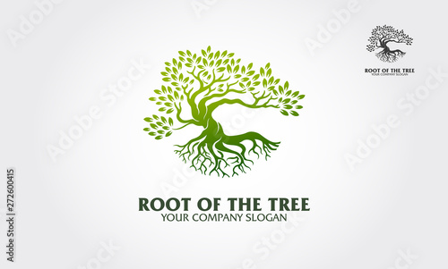 Root of the Tree logo illustrating a tree roots, branches. Excellent logo template for fashion, landscape, gardening business or in numerous fields related to eco green