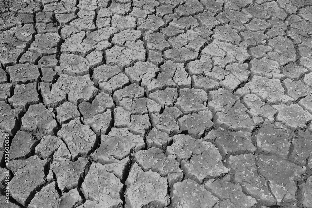 close up cracked soil close up cracked soil
