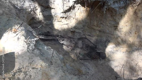 Exhumation is the act of digging up, especially a corpse. This is most often done to relocate a body to a different burial spot. 