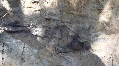 Exhumation is the act of digging up, especially a corpse. This is most often done to relocate a body to a different burial spot. 