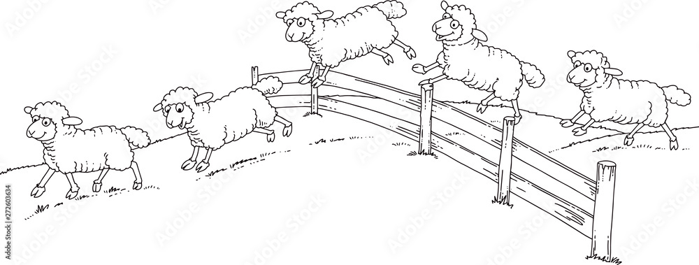 Obraz premium sheep over fence