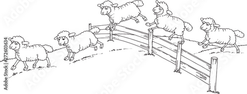 sheep over fence
