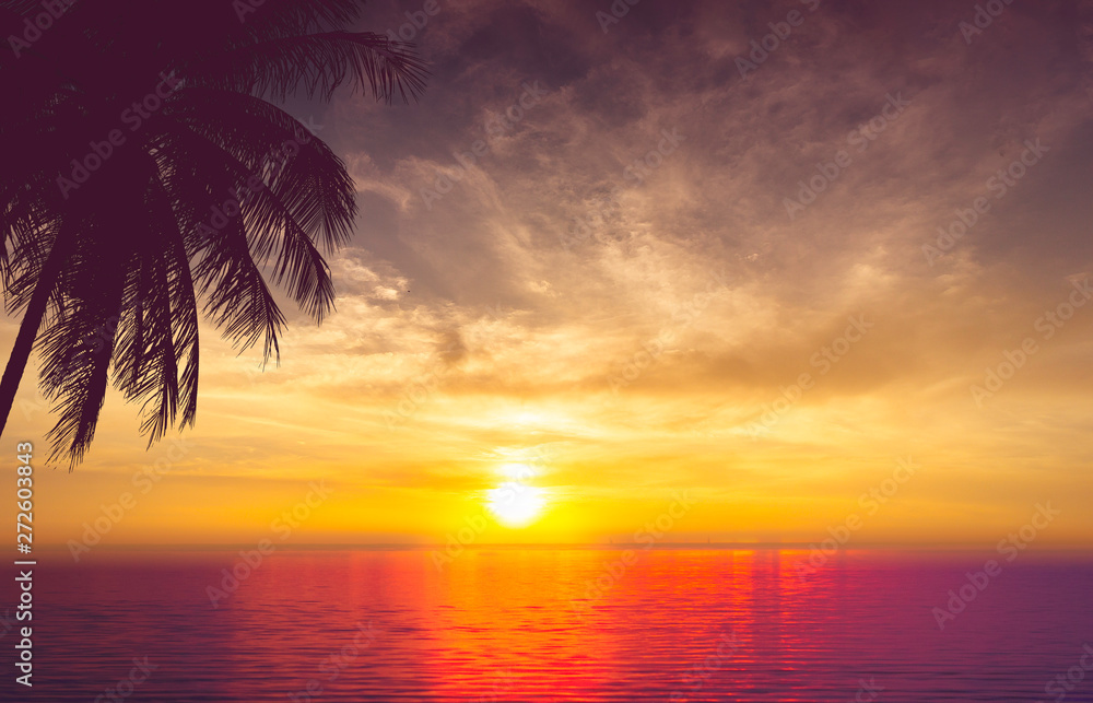 tropical palm tree and beautiful sea at sunset