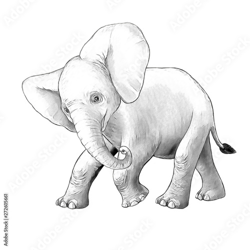 cartoon scene with little elephant on white background safari coloring page sketchbook illustration for children