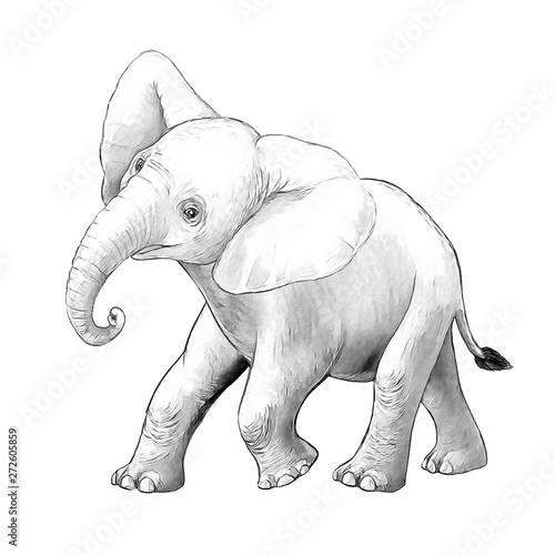 cartoon scene with little elephant on white background safari coloring page sketchbook illustration for children