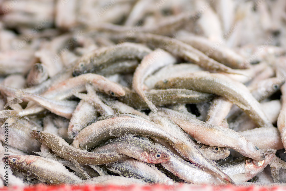 Bunch of fresh frosty smelt fish in winter. Fishing for sale in