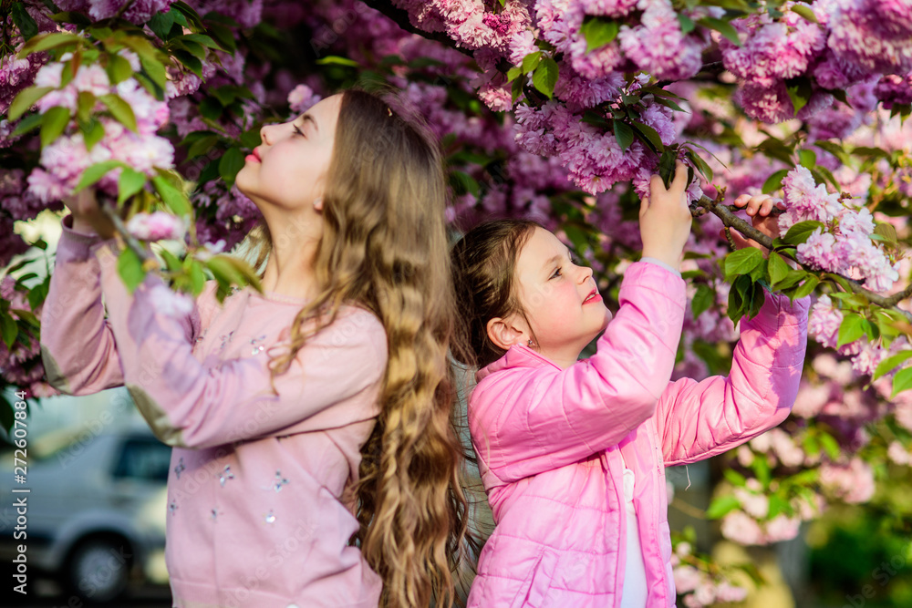 Fototapeta premium Pink our favorite. Children spring garden. Sakura garden. Kids pink flowers of sakura tree. Flowers tender bloom. Kids enjoy cherry blossom. True friendship. Sisters friends sakura trees background