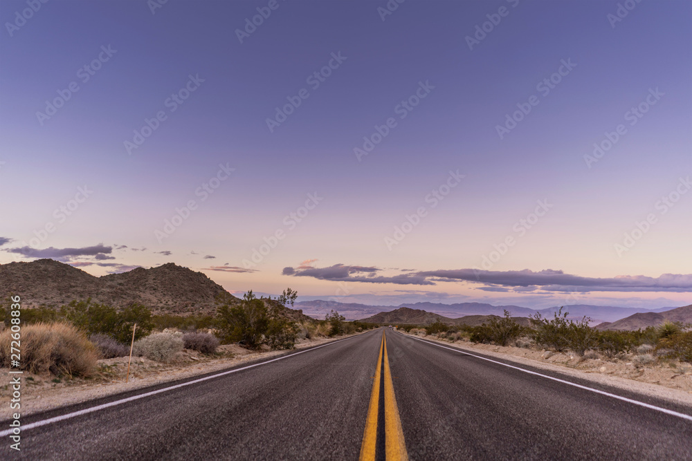 Naklejka premium Empty road in a desert with sunset clouds in the sky and dry plant among road sides.