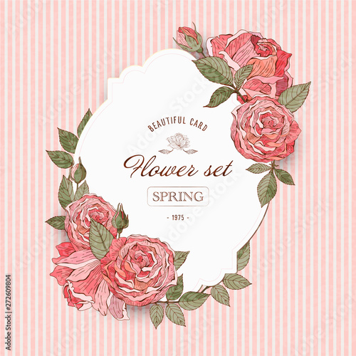 Vintage flower cards with red and pink roses. Romantic background. Vector illustration. Beautiful retro design for wedding invitations, cards, banners.