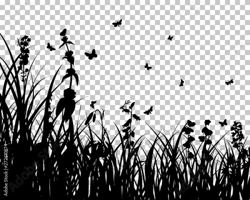 Meadow silhouette