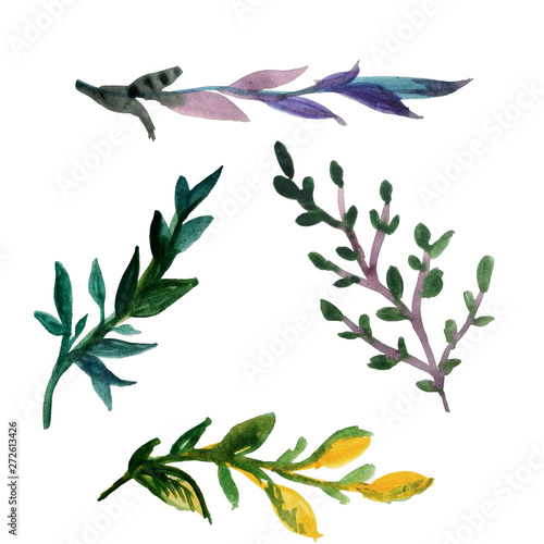 Set of leaves and twigs. Drawn by hand with watercolor on an isolated white background. Set of watercolor elements for design.