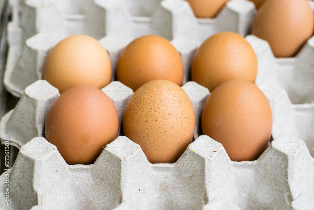 Fresh chicken eggs Fresh chicken eggs