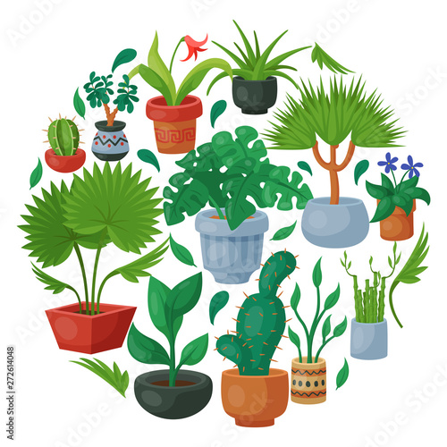 House flowers indoor floriculture round pattern vector illustration. Nature home decoration gardening. Indoor plants in flowerpot beauty decorative flora. Cozy succulent foliage exotic garden